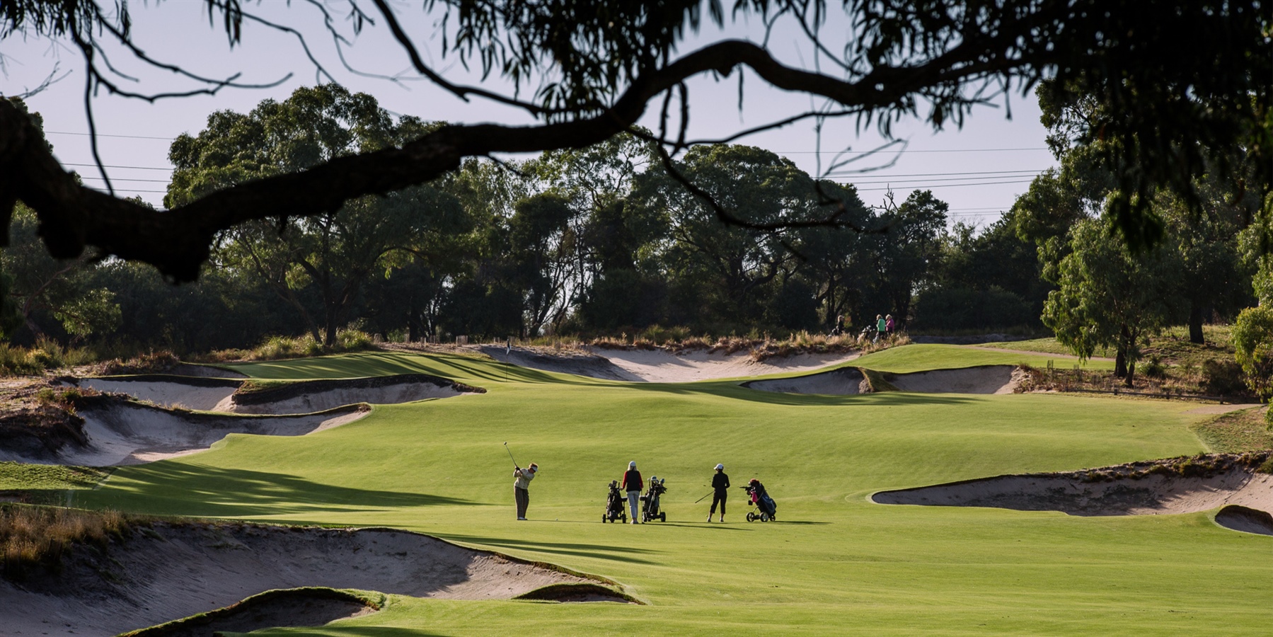 mornington peninsula, golf, incentives and attractions, business events